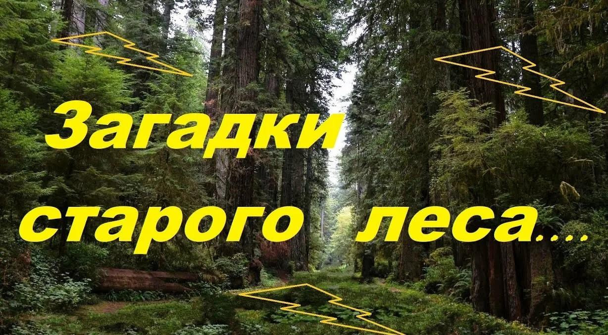 30c0d21c7304307bcb4b334cf102202a.jpg