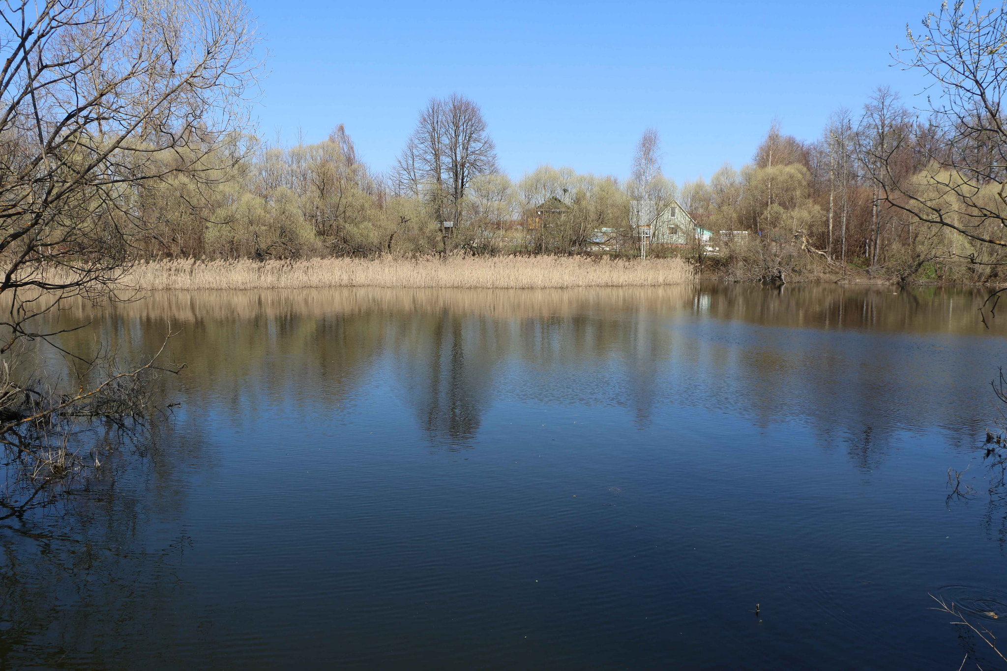 Manor pond in the park