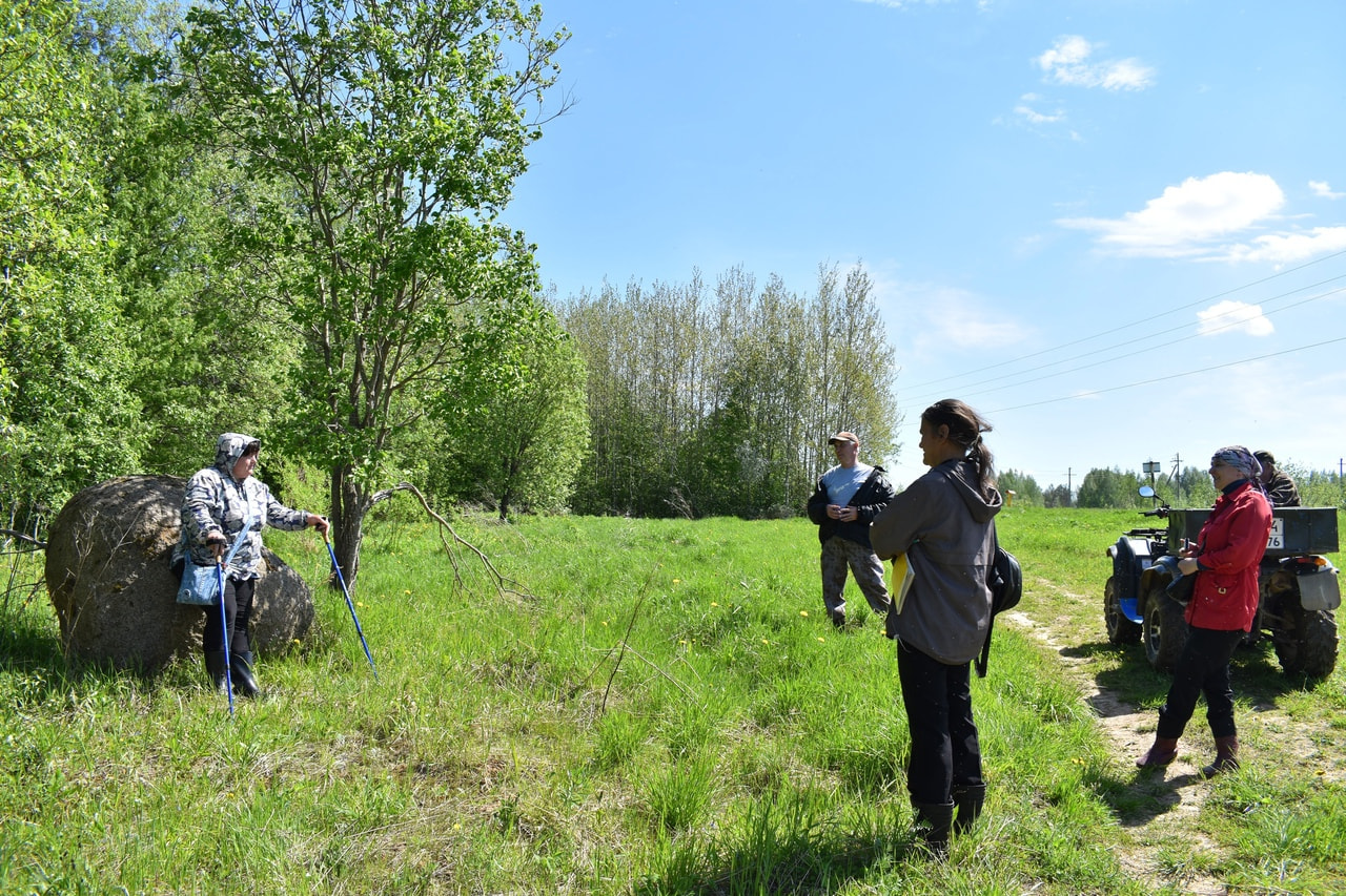 view of the megalith at d.Vasino